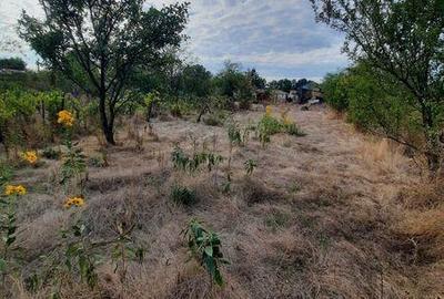 Casă cu 3 camere cu Teren 70 Mp în Răcari - 7