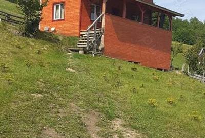 Cabana cu teren la munte - 3