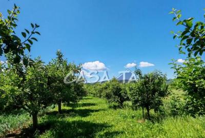 Casa situata in Samarinesti, sat Valea Bisericii - 11