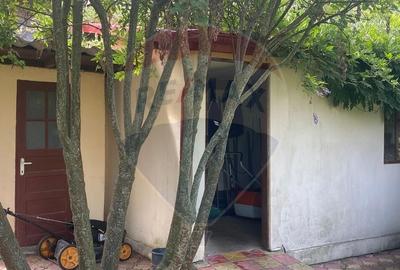 DE VANZARE Vila de vacanta in Pucioasa /Dambovita - 49