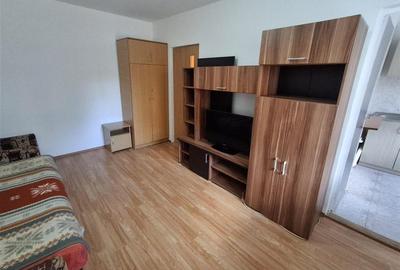 Garsonieră semidecomandată în Sub Arini - 7