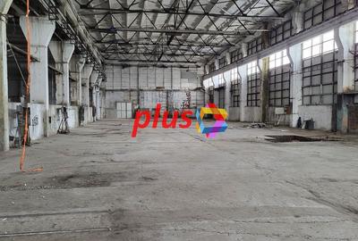 Spațiu industrial, 1137 mp în Nord