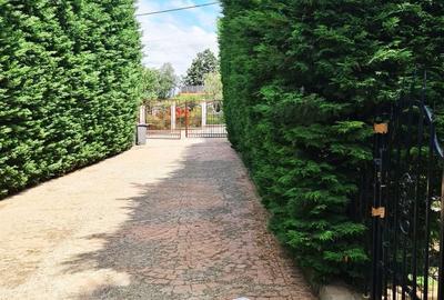 Bucium | locuinta impunatoare | refugiu al linistii si rafinamentului - 20