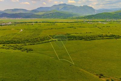 Teren 10,800mp Rasnov / Drumul DN73 - 6