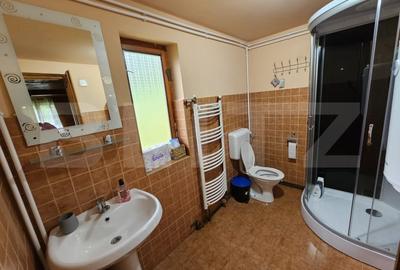 Casa de vacanta cu 4 camere,3300 mp teren,Valisoara - 19