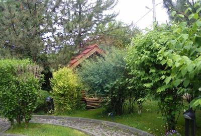 Vanzare vila cu D+P+Et +M, intravilan 1670 mp, Saftica - 20