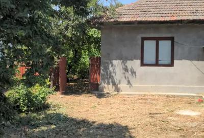 Casă cu 4 camere cu Teren 700 Mp în Ograda - 2