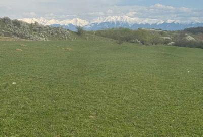 Spațiu comercial, în Bungard - 7