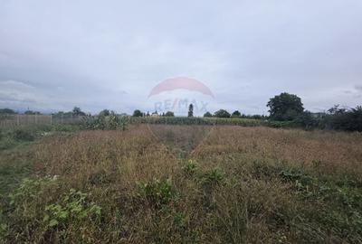 Casa cu livada si teren generos - Girov - 41