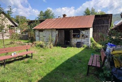 Casă cu 2 camere în Băița - 5