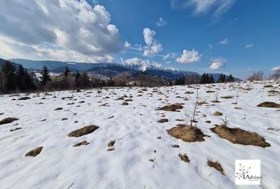 Teren De Vanzare In Sirnea - 27