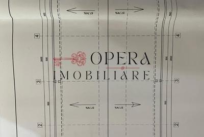 Teren intravilan 5000mp+Cladire265mp + Sera(2500mp), Rediu Aldei-Aroneanu - 3