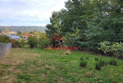 Casă cu Teren 2017 Mp în Breaza - 2