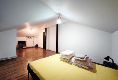 Vila S+P+1+M-318 m2 utili cu 1820 m2 teren situata vis a vis Lidl,Penny,Kaufland - 50