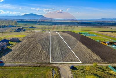 COMISION 0% Teren Sanpetru 8900 mp/ Intravilan/ 8 loturi COMISION 0% Teren Sanpetru 8900 mp/ Intravilan/ 8 loturi - 9