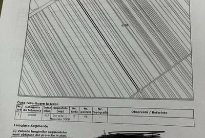 Teren agricol extravilan de 17000 mp, în Priseaca - 5