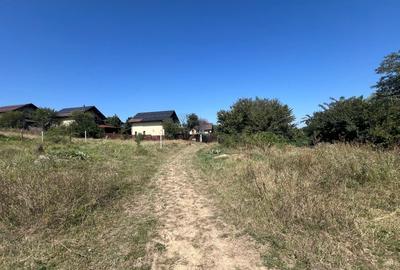 1100 mp Barnova , str Capela Inculet
