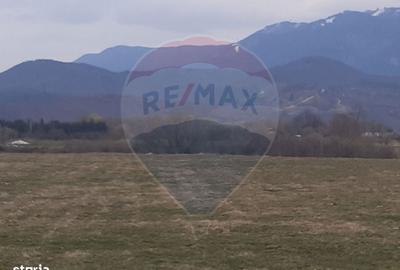 Spațiu comercial, în Pănicel - 8