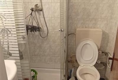 Garsoniera de vanzare Doamna Ghica Rond - parc Plumbuita (cash) - 6