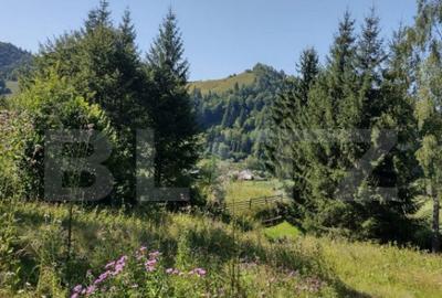 Teren de 3000 mp, în Central - 3