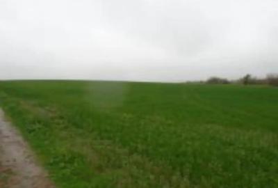 Teren de 12500 mp, în Central - 1