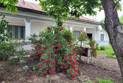 Casă cu 5 camere cu Teren 1351 Mp în Cernica - 10