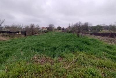 Casă individuală cu 4 camere cu Teren 1798 Mp în Iecea Mare - 4