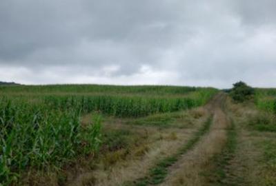 Teren agricol extravilan de 5800 mp, în Moișa - 3