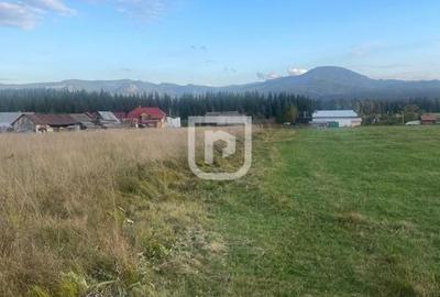Teren intravilan  - Poiana Stampei ? - 2