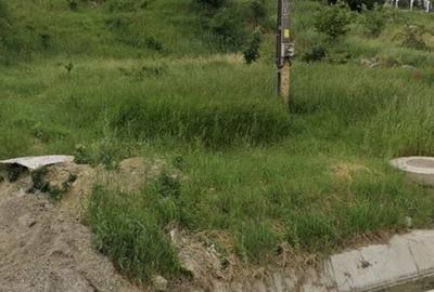 Spațiu comercial, în Tomești - 3