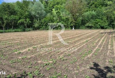 Casă cu 4 camere în Băile 1 Mai - 7