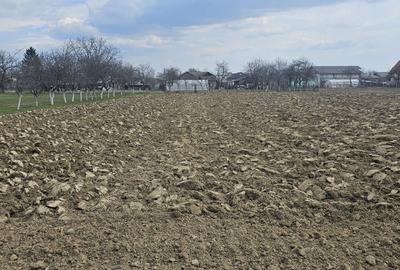 Teren de 1400 mp, în Roșu - 7