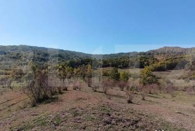 Teren de 7382 mp, în Central - 3