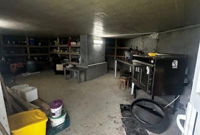 SATU NOU DE JOS, casa D+P+E 300mp , cu teren 21ari! - 5