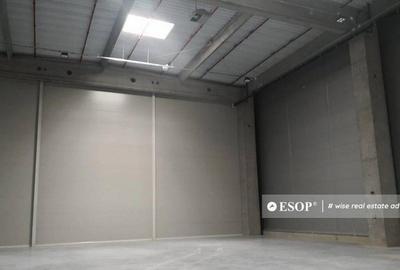 WDP Industrial Park Stefanesti, spatii industriale, 5.000... - 4