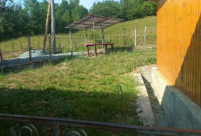 Casă cu 2 camere în Vale - 6