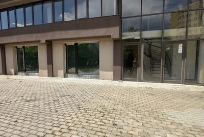 Spațiu comercial, 449 mp în Săsar