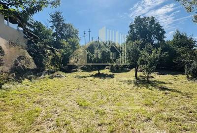 Teren de 3234 mp, în Lerești - 9