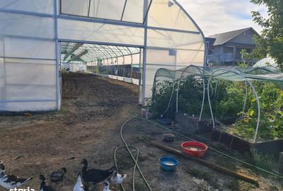 Spațiu comercial, de 3,200 mp, în Grădinari - 1