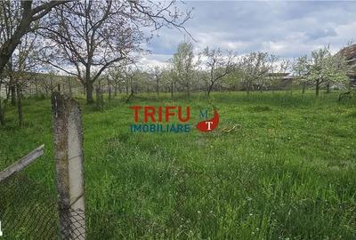 Casă cu 2 camere cu Teren 3101 Mp în Galda de Jos - 3