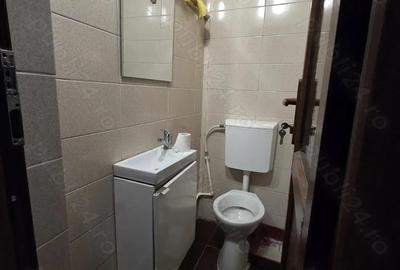 Spatiu Comercial Calea Calarasilor - 2