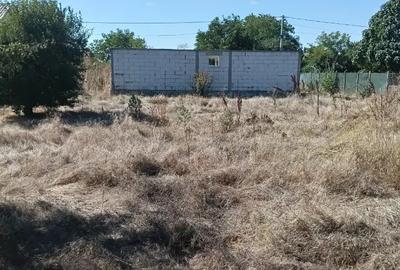 Casă cu 3 camere în Central - 1