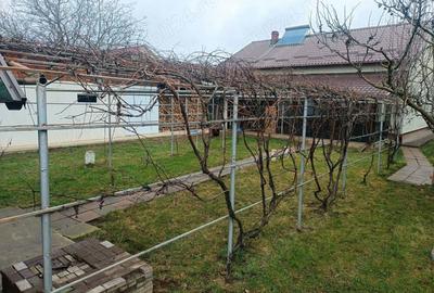 Casă cu Teren 2700 Mp în Huțani - 2