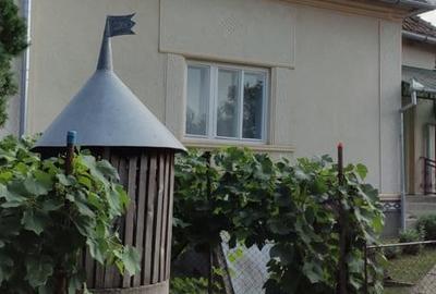 Casă cu 2 camere cu Teren 4384 Mp în Ilișua - 5
