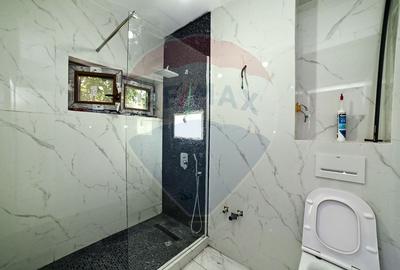 INCHIRIERE Apartament cu 3 camere in zona Dacia - 14