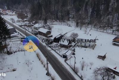 Teren de 2283 mp, în Tarcău - 8