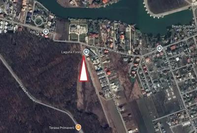 Teren Unic în Corbeanca - Laguna Albastră | Deschidere la Pădure - 2