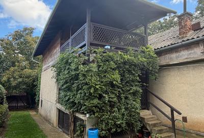 Casa de vinificatie in Viile Tieamului Carei - 30