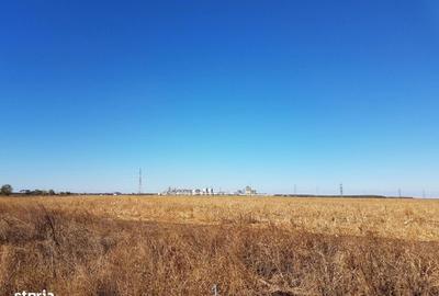 Teren de 26800 mp, în Lehliu - 2