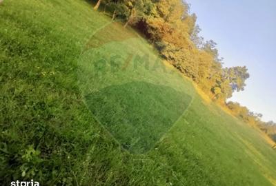 Teren de 6900 mp, în Ocna Șugatag - 6